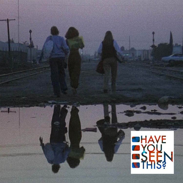 cover art for 256 - Foxes