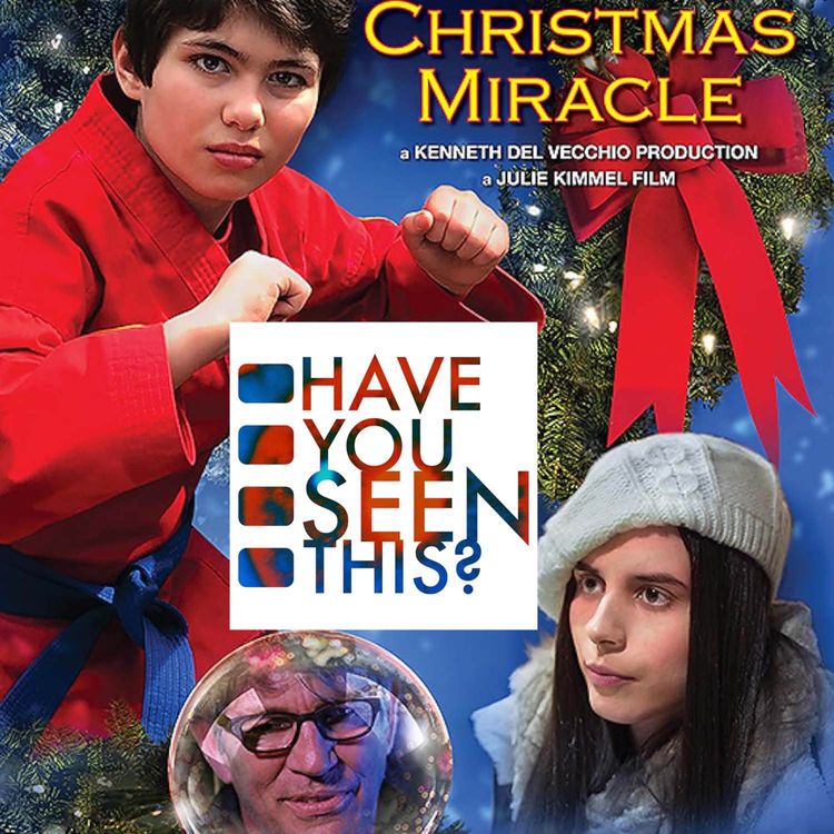 cover art for 263 - A Karate Christmas Miracle