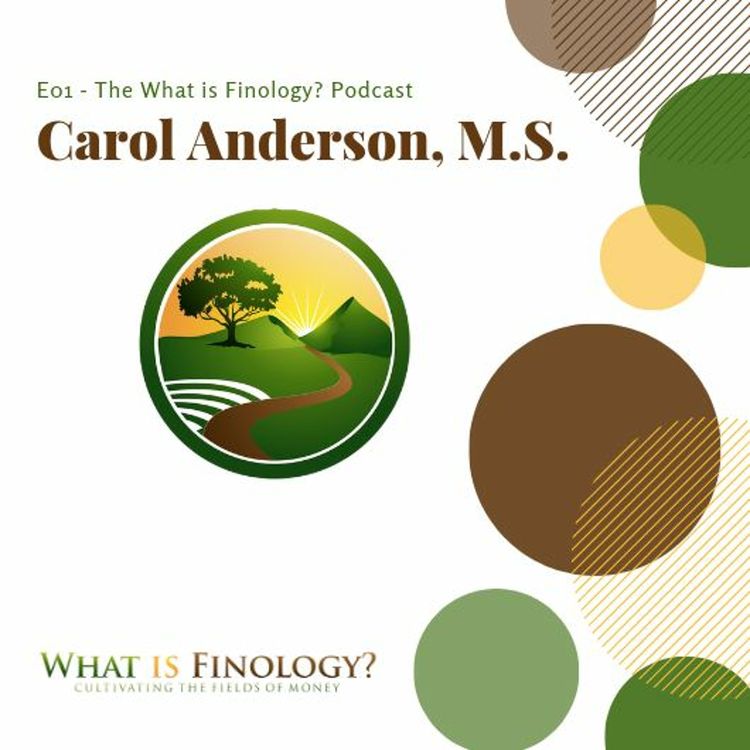 cover art for PRE 01 - Financial Planning 2.0, Life Planning and Finology with Carol Anderson