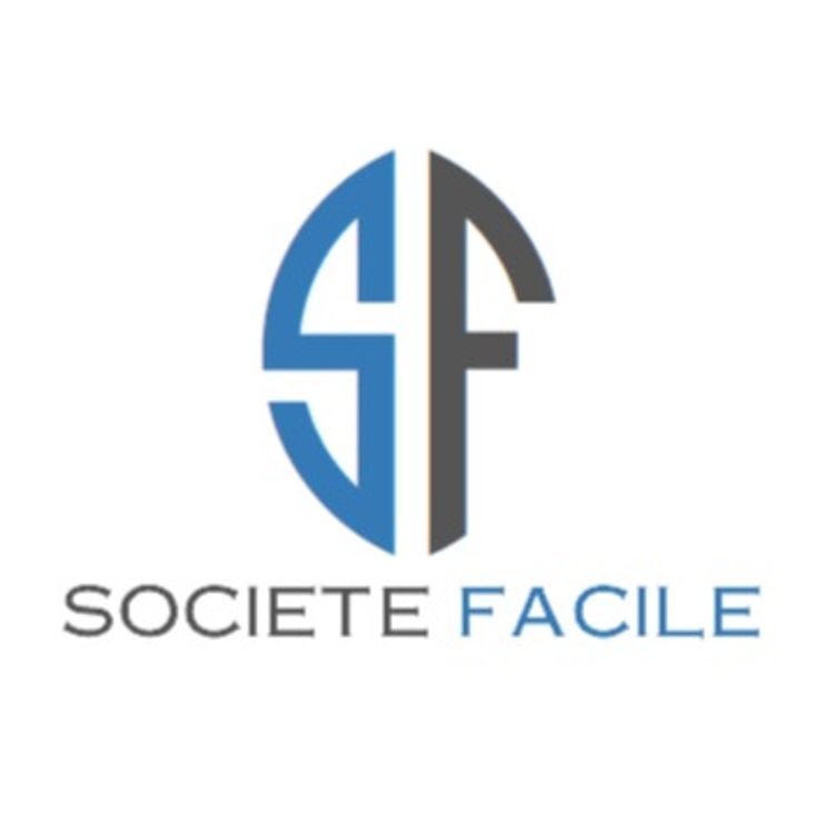 cover art for le résumé opérationnel ou exécutive summary