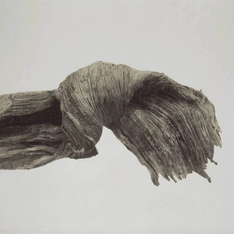 cover art for Soundmaking ep. 76: Samuel Adams/The Living Earth Show – Lyra 