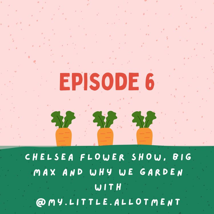 cover art for Chelsea Flower Show, Big Max and why we garden with Kirsty from @my.little.allotment