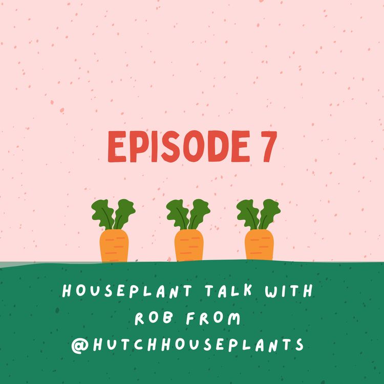 cover art for Houseplant talk with Rob from @hutchhouseplants
