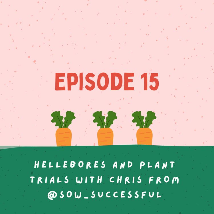 cover art for Hellebores and plant trials with Chris from @sow_successful