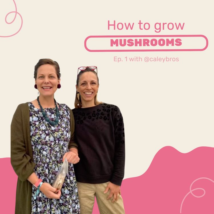 cover art for How to grow mushrooms with @caleybros