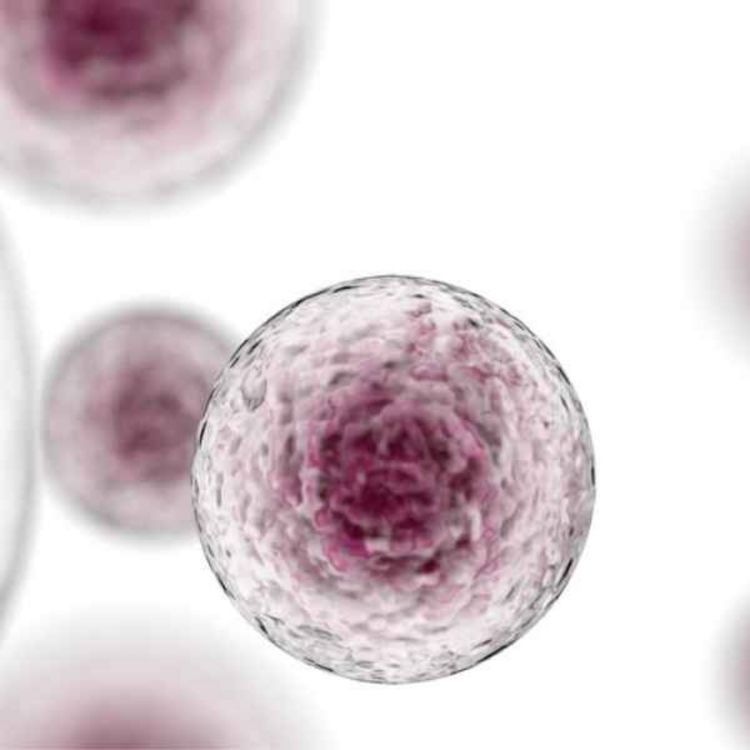 cover art for العلاج بالخلايا الجذعية واهم تطبيقاتها والامل الحقيقي للتخلص من الامراض المستعصية