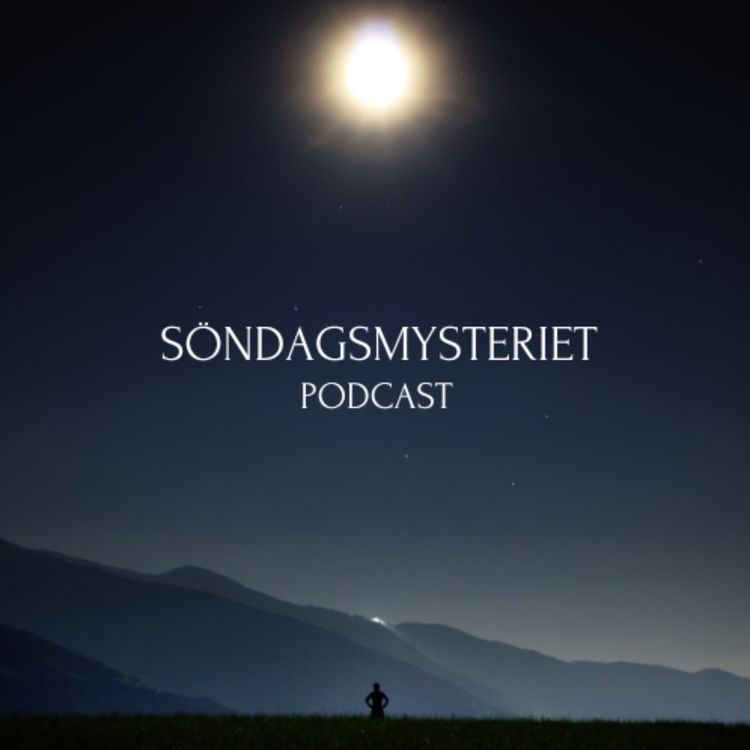 cover art for Försvinnanden Katharine Van Alst & Linda Kay Arteaga