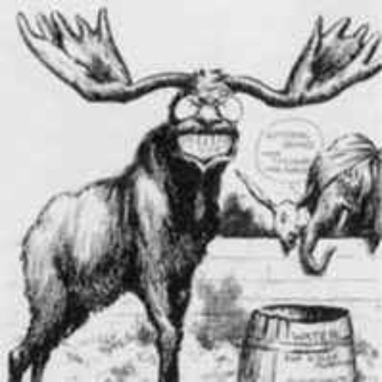 cover art for 016 - Teddy Roosevelt's Third Term, Part VII