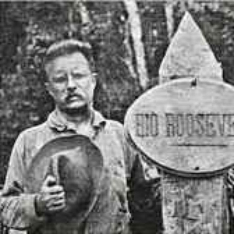 cover art for 022 - Teddy Roosevelt's Third Term, Part IX