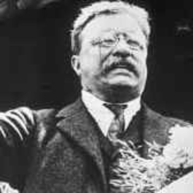 cover art for 027 - Teddy Roosevelt's Third Term, Part XI