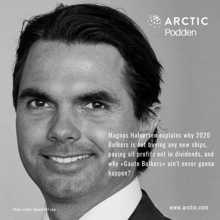 cover art for Does 2020Bulkers have 2020 vision?