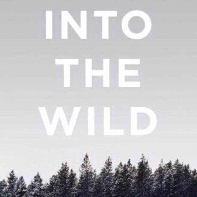 cover art for Into the Wild Jon Krakauer