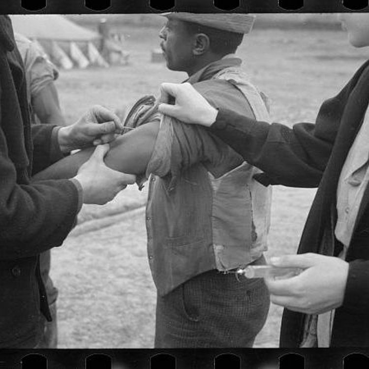 cover art for Just Gravy 5: Polio, Pepperoni, and Pizza Rat