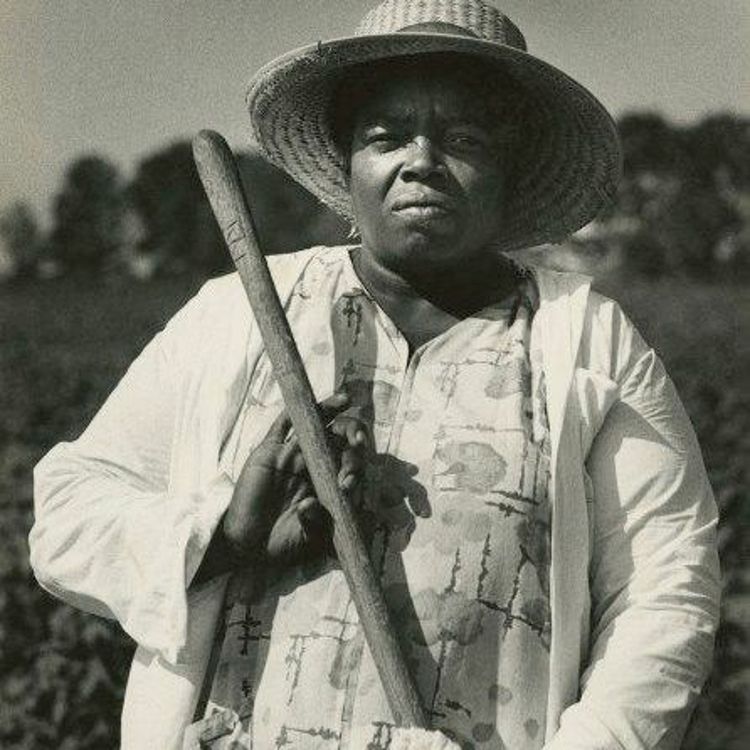 cover art for 9. Fannie Lou Hamer (Part 1)