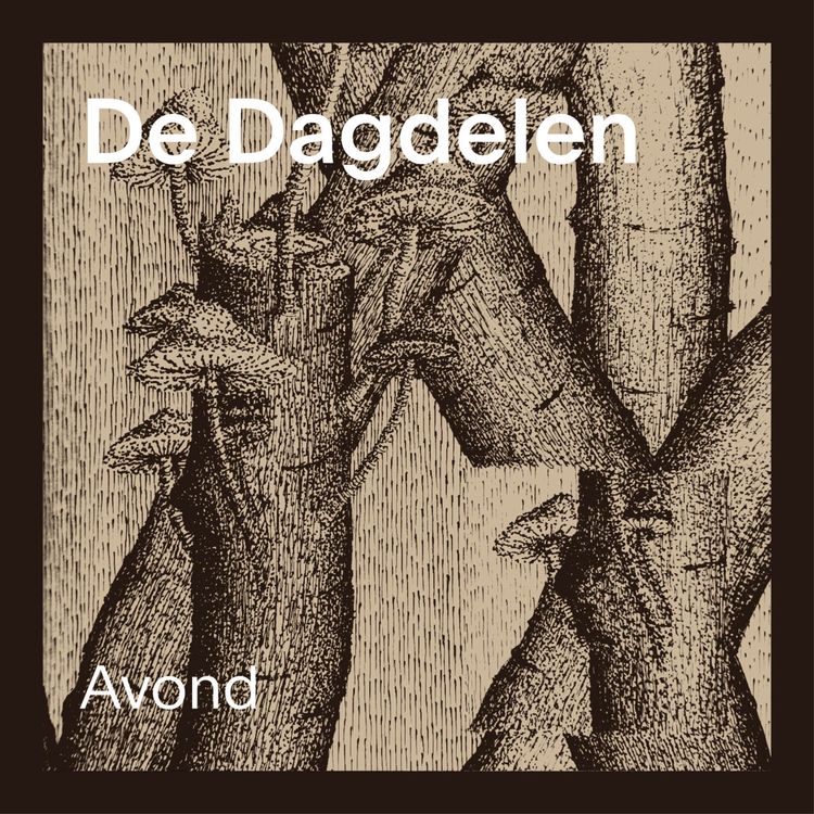 cover art for De Dagdelen 4: Avond