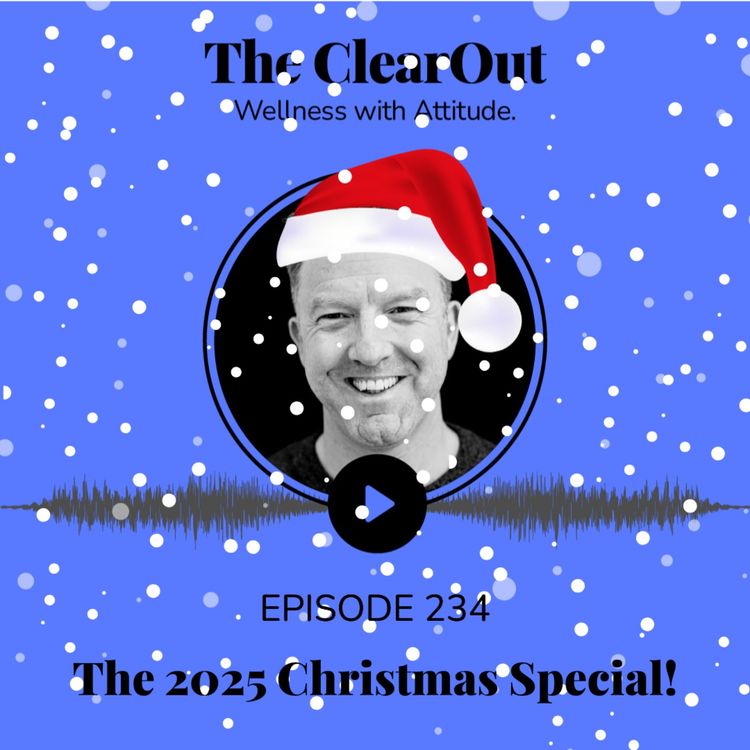 cover art for The 2025 Christmas Special!
