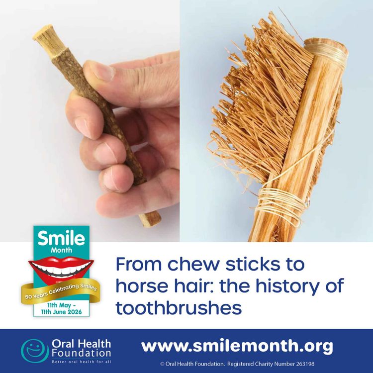 cover art for The History of Toothbrushes