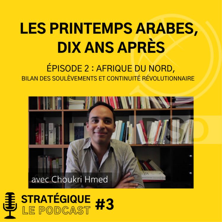 cover art for LES PRINTEMPS ARABES, DIX ANS APRÈS - épisode 2 : Afrique du Nord, bilan des soulèvements et continuité révolutionnaire