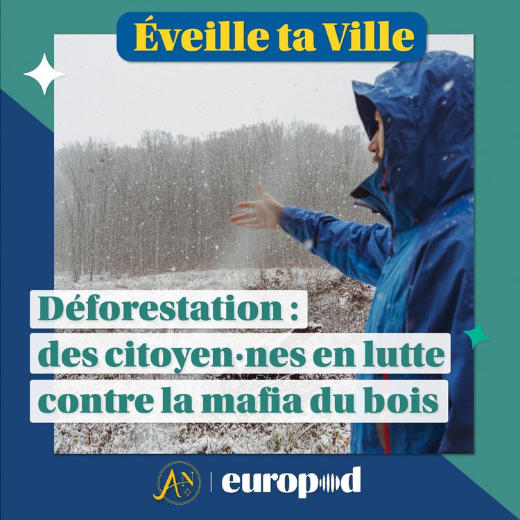cover art for Déforestation : des citoyen·nes en lutte contre la mafia du bois