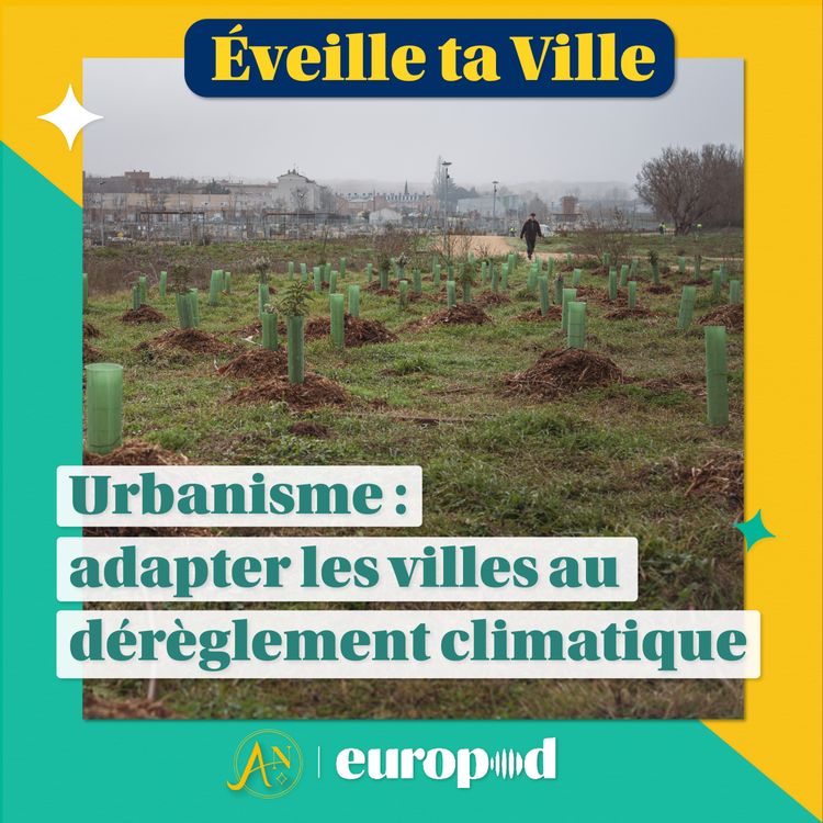 cover art for Urbanisme : comment adapter les villes au dérèglement climatique ?