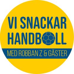 cover art for Vi snackar Handboll