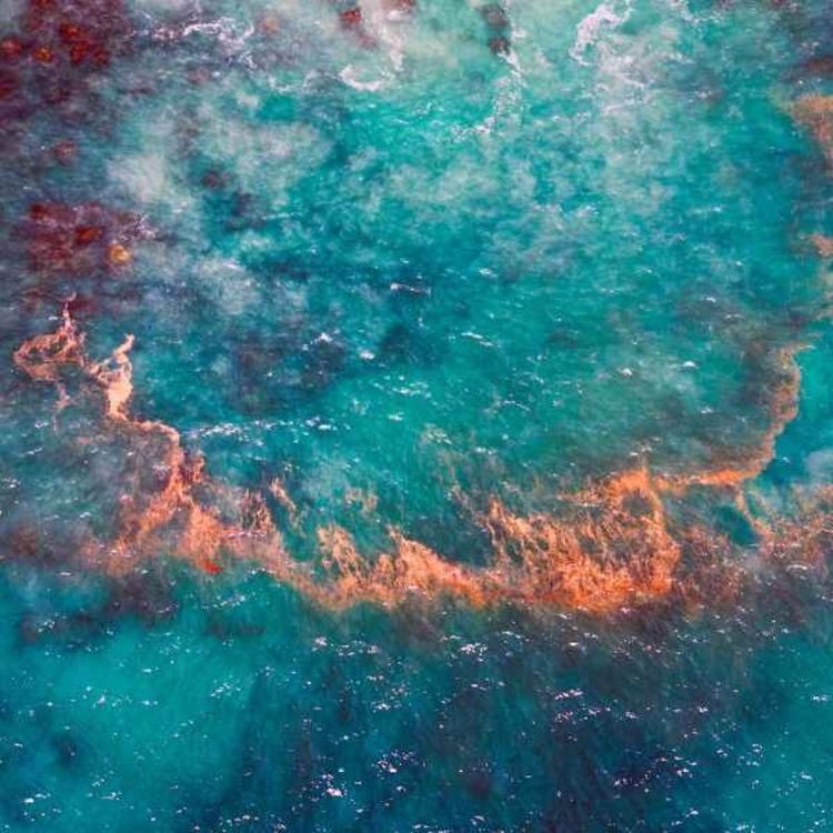 cover art for How Novo Ventures prioritized their investment strategy during the pandemic