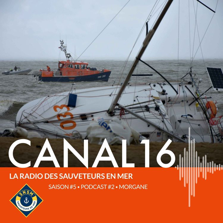 cover art for Saison 5 - Épisode 2 - Morgane