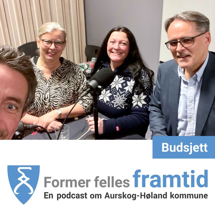 cover art for 1, 5 milliarder. Hva går pengene til? 