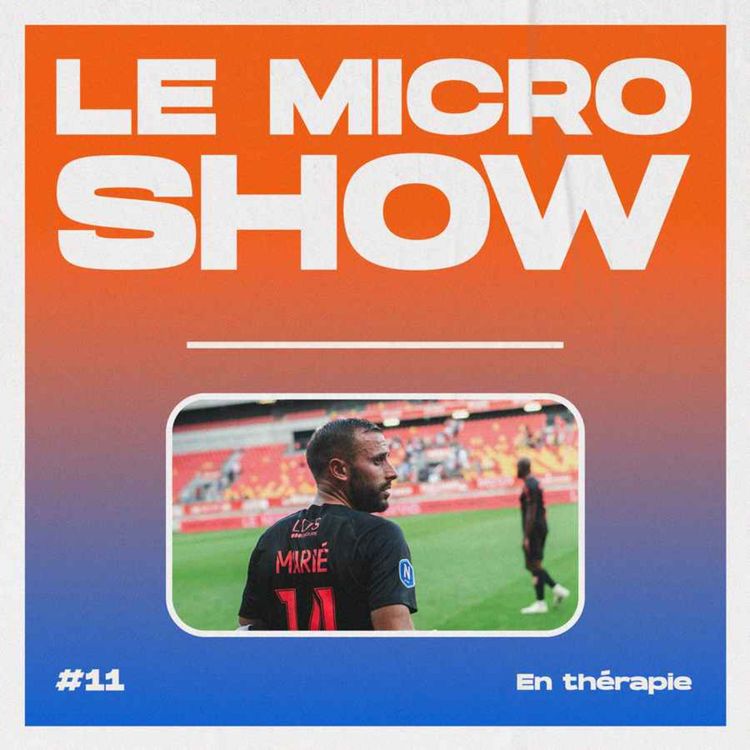 cover art for En thérapie - Le Micro Show