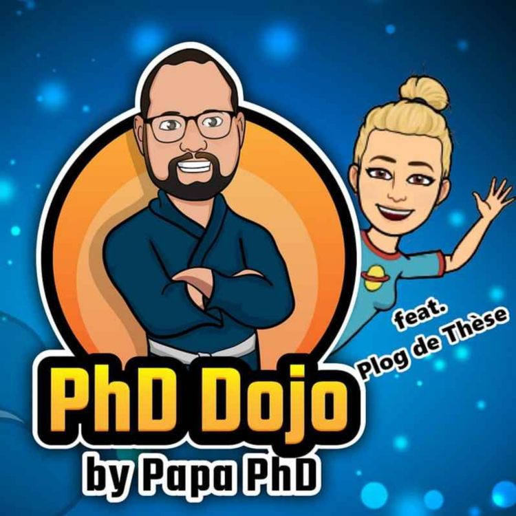 cover art for PhD Dojo - Les bonnes résolutions, une mauvaise solution ?