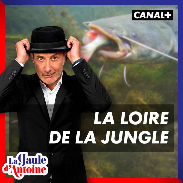 cover art for #2 - La Loire de la Jungle