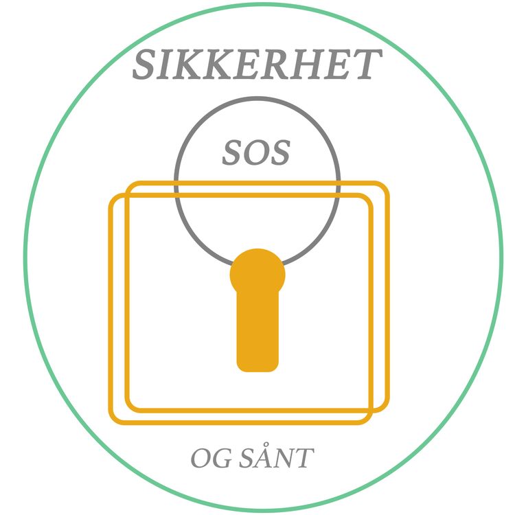 cover art for Sikkerhet: et filosofisk og politisk perspektiv 
