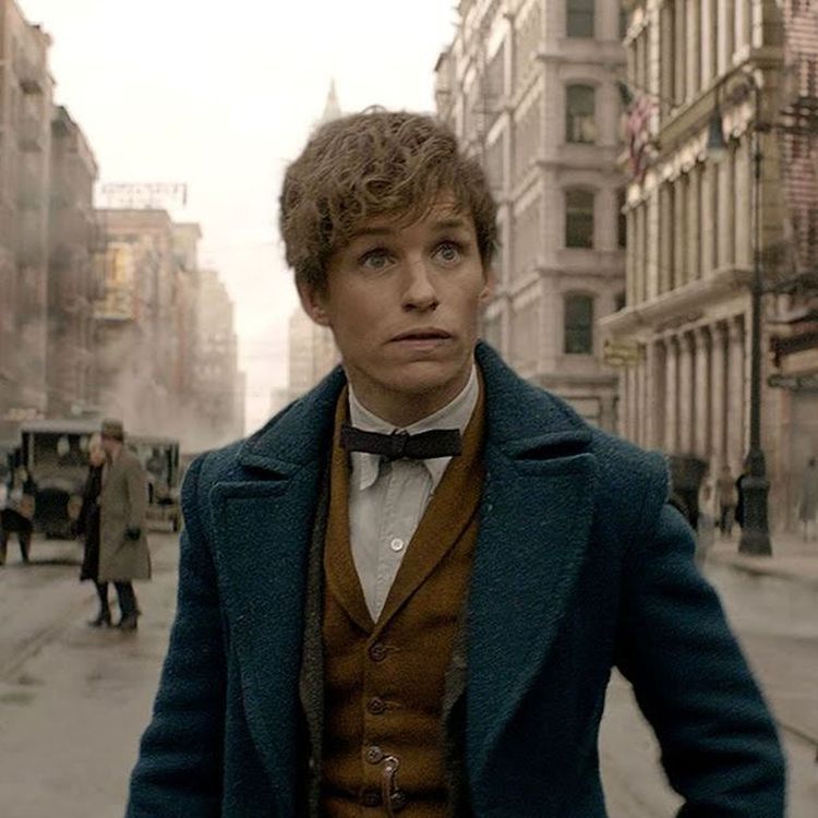 cover art for 96. Paterson & Fantastic Beasts