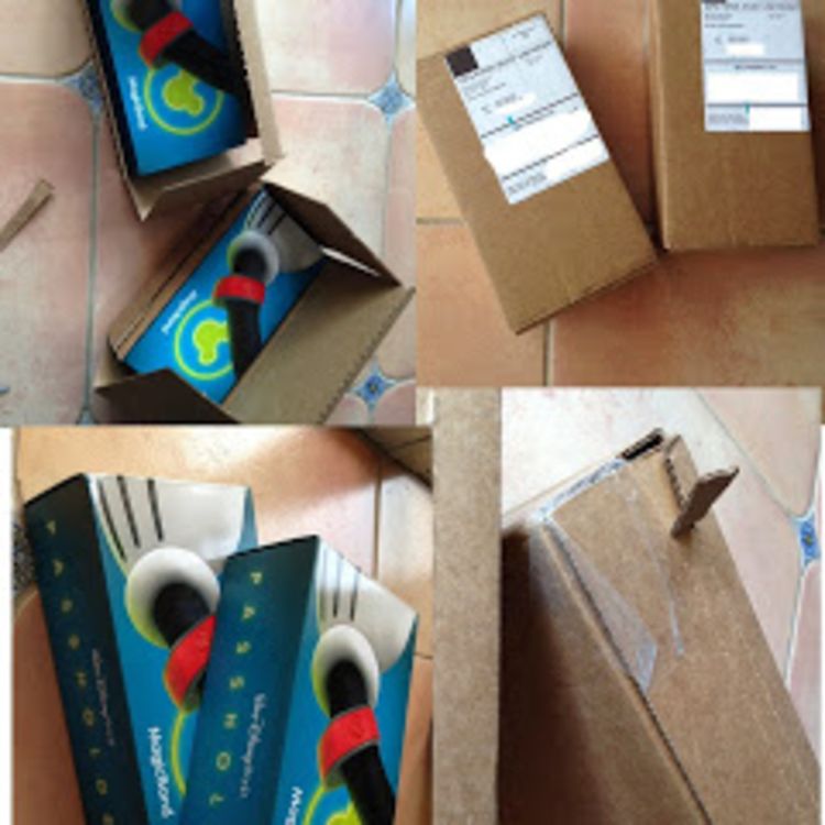 cover art for Episode #198 & #199 - Disney's Fast Pass + ....or how I learned to stop worrying, and learned to love the Magic Band