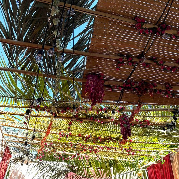 cover art for Succos - Rebirth (3 minutes)