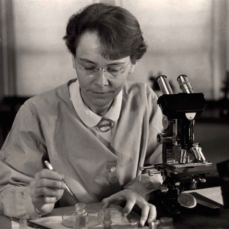 cover art for Johanna Döbereiner