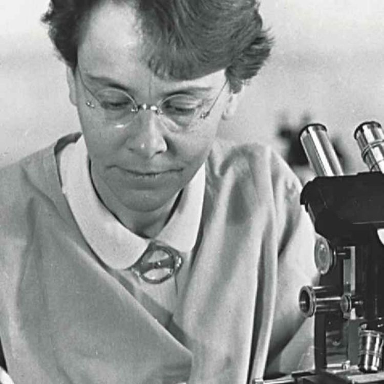 cover art for Barbara McClintock