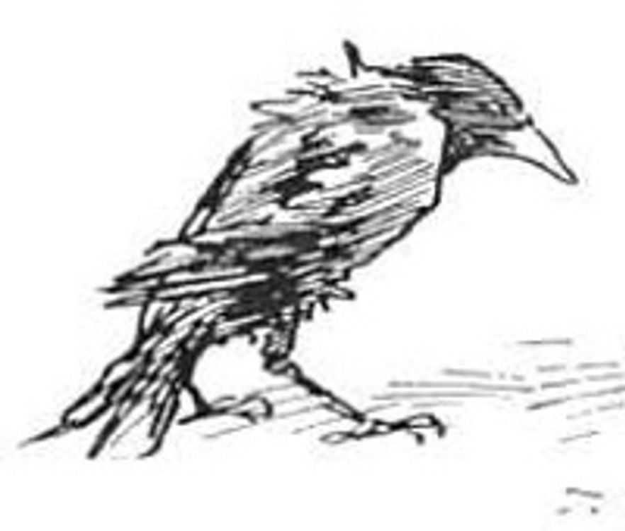 cover art for Check me out! A Small audio excerpt from Alice in Wonderland