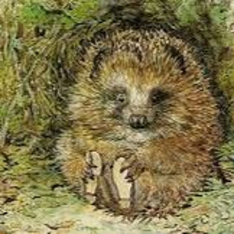 cover art for The Hedgehurst