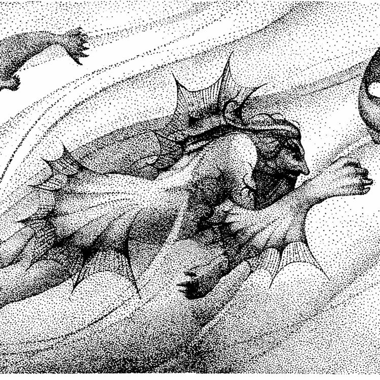 cover art for The Death of the Fin King