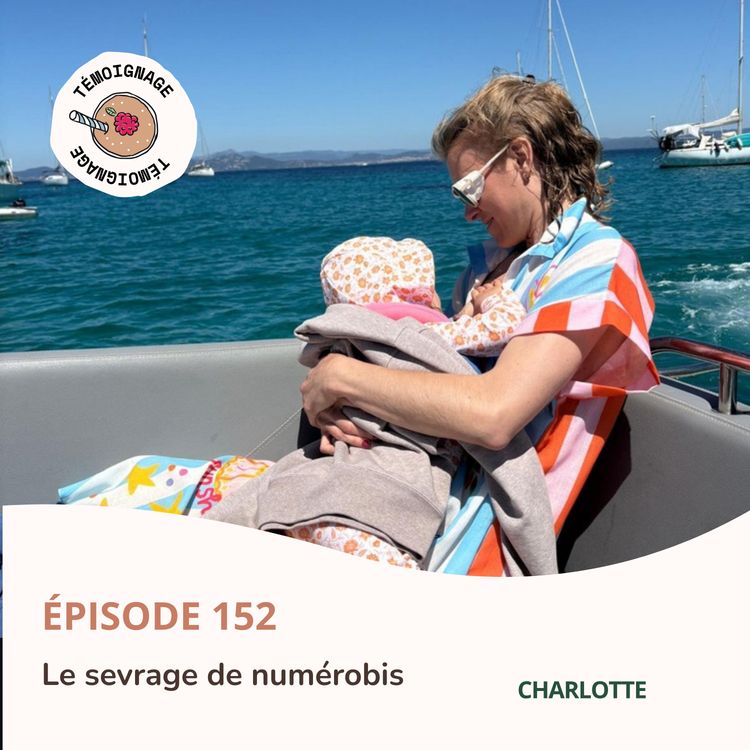 cover art for Épisode 152 - Le sevrage de Numérobis.