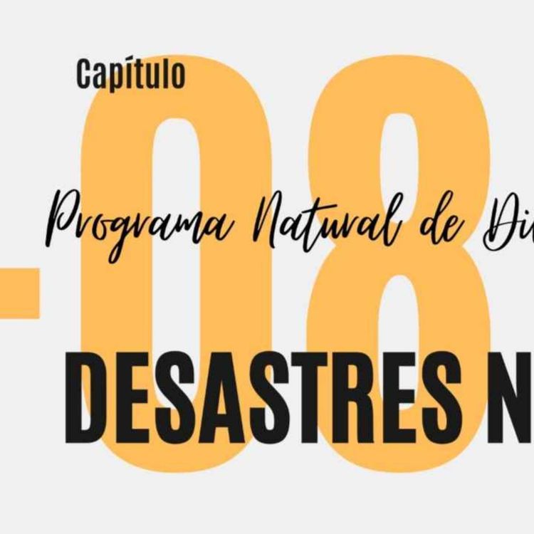 cover art for Desastres Naturales