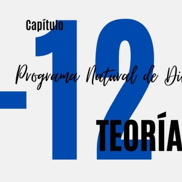 cover art for Teoría del caos