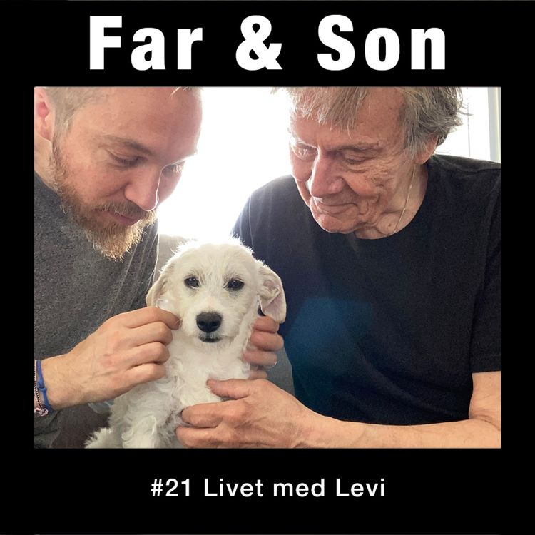 cover art for #21: Livet med Levi