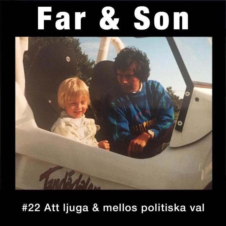 cover art for #22: Att ljuga & mellos politiska val