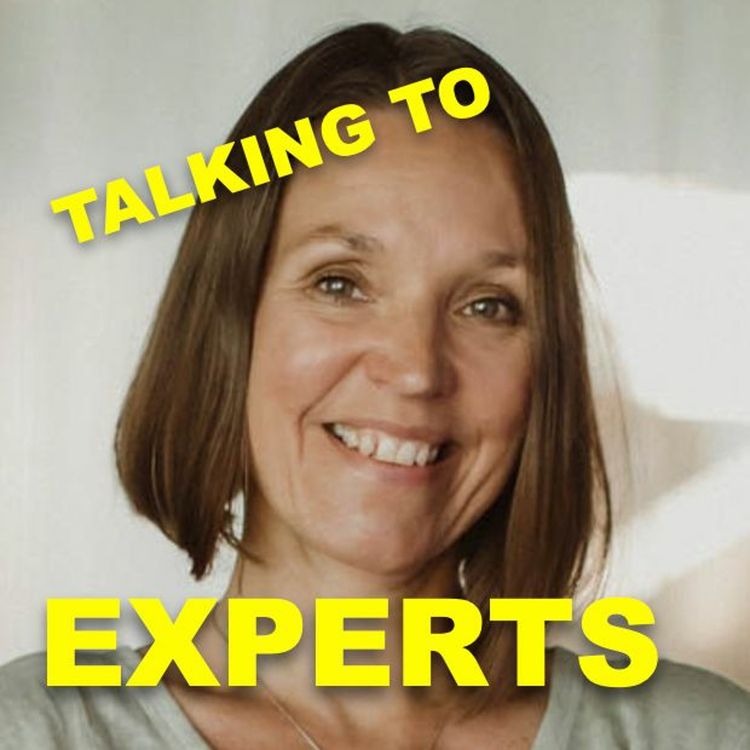 cover art for TTE # 73 ARBETSPLATSEN OCH DET DÖENDE KONTORET med ANNA-LENA NORHAMMAR