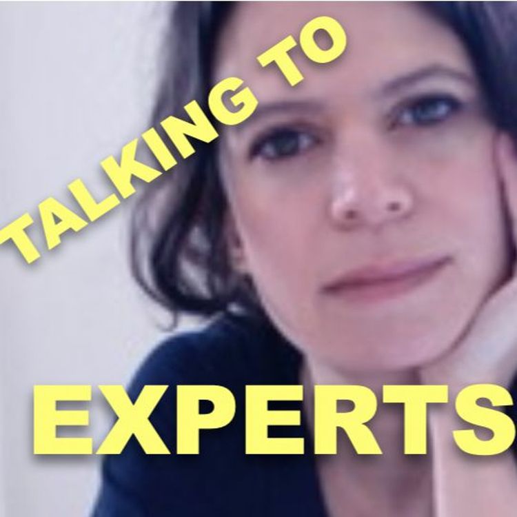 cover art for TTE # 62 FORMAD AV HISTORIEN med DANIELLA MENDEL ENK