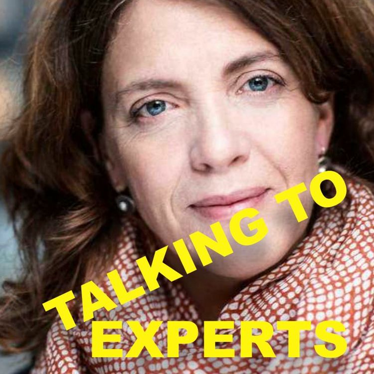 cover art for Talking to Experts # 58 KONSTEN ATT SPELA TEATER med CILLA THORELL