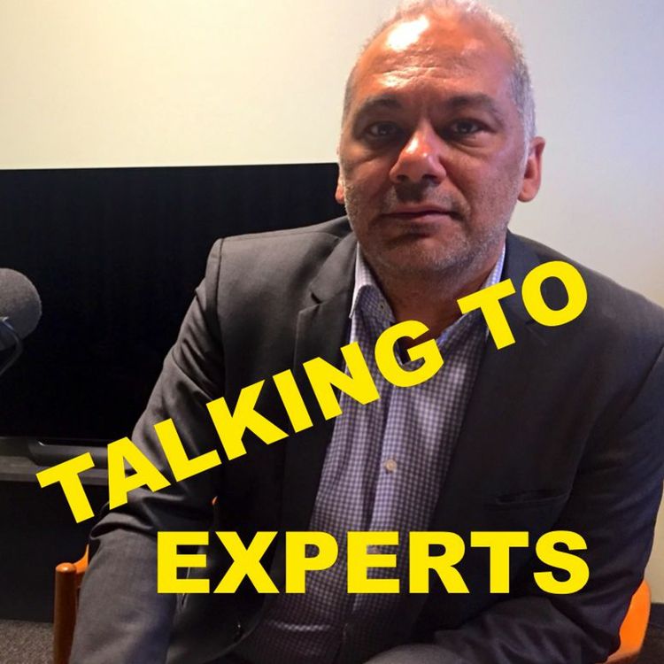 cover art for Talking to Experts # 56  EXTERNATET PÅ LUNDS UNIVERSITET med JOHAN GRANT