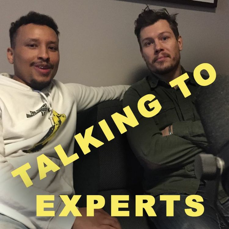 cover art for Talking to Experts # 53 - FÅ FASON PÅ DIG SJÄLV & MÅ GÖTT med FREDRIK ANDERSSON